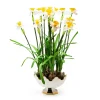 MacKenzie-Childs Daffodil Centerpiece* Outdoor Entertaining