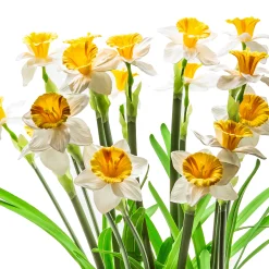 MacKenzie-Childs Daffodil Centerpiece* Outdoor Entertaining