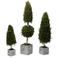 MacKenzie-Childs Farmhouse Cypress Tree - Medium* Greenery & Florals