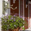 MacKenzie-Childs Frog Plant Hanger* Entryway & Porch