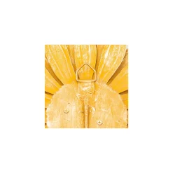 MacKenzie-Childs Golden Anemone Candle Sconce* Room Accents
