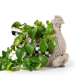 MacKenzie-Childs Naturals Mother Hen Planter* Pots & Planters