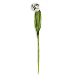 MacKenzie-Childs Parrot Tulip - Ivory* Greenery & Florals