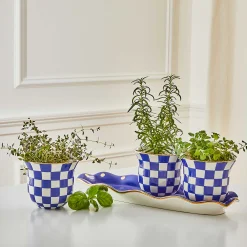 MacKenzie-Childs Royal Check Herb Garden Set* Pots & Planters