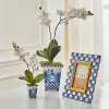 MacKenzie-Childs Royal Toile Potted Orchid - Small* Greenery & Florals