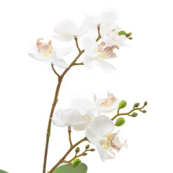 MacKenzie-Childs Royal Toile Potted Orchid - Small* Greenery & Florals