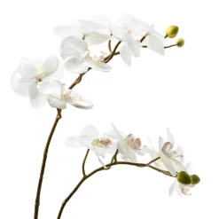 MacKenzie-Childs Royal Toile Potted Orchid - Large* Greenery & Florals