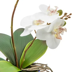 MacKenzie-Childs Royal Toile Potted Orchid - Medium* Greenery & Florals